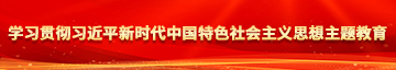 小穴鸡巴抽插水视频学习贯彻习近平新时代中国特色社会主义思想主题教育